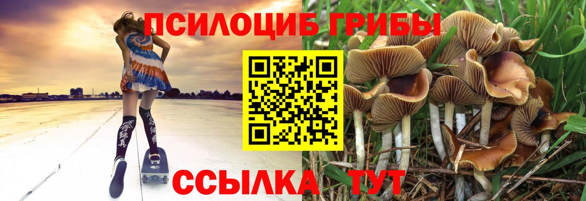 Псилоцибиновые грибы MAGIC MUSHROOMS Бугуруслан
